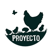 Novedades feria y cosecha verduras